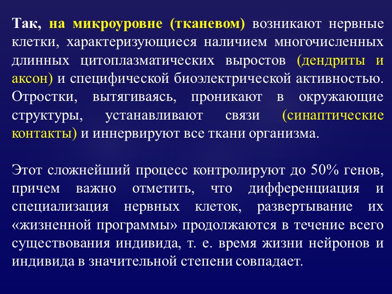 Так, на микроуровне (тканевом) возникают нервные клетки, характеризующиеся наличием многочисленных длинных цитоплазматических выростов (дендриты